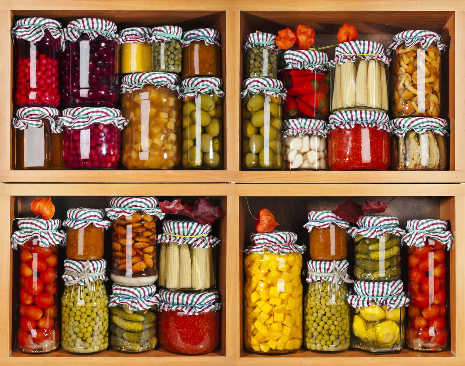 Best Large Standing Food Storage Rack for Canned Foods