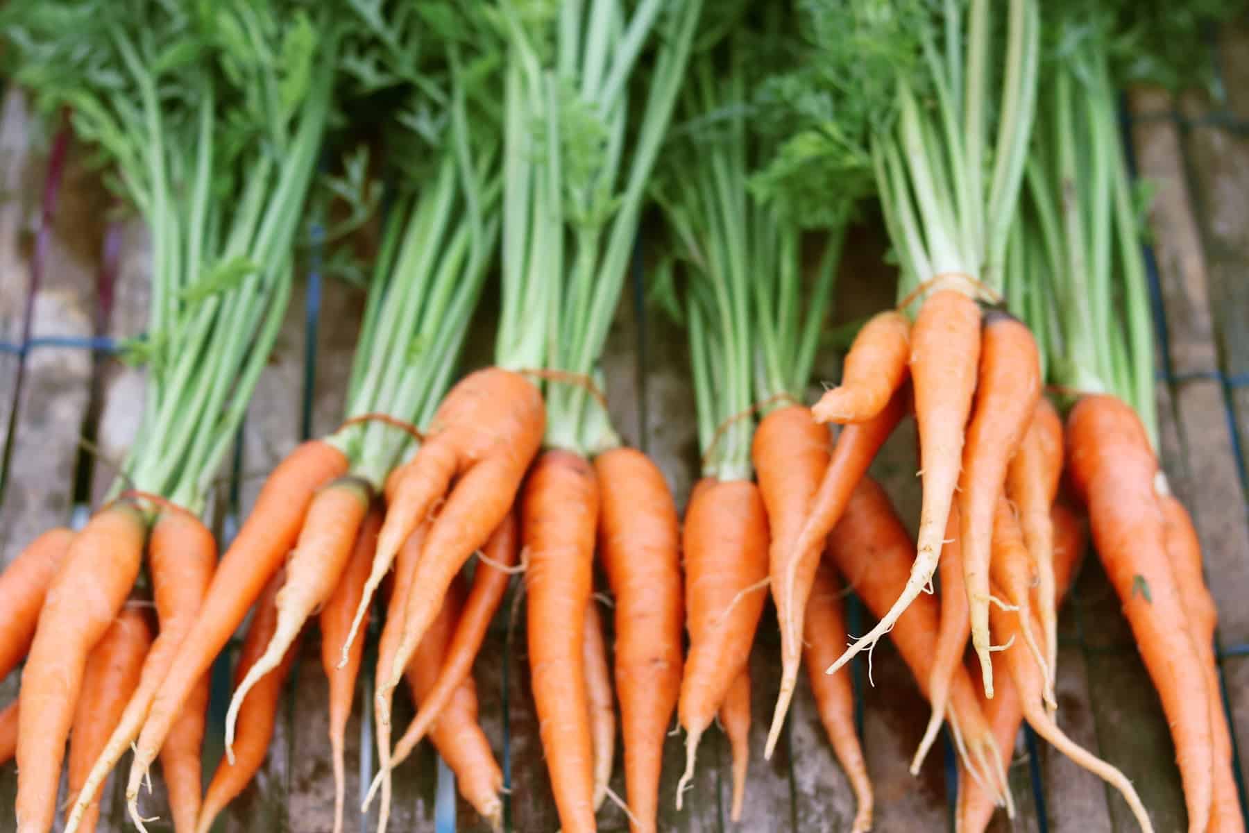 Why Do Garden Carrots Get Soft—How to Store Them So They Won’t Pantry