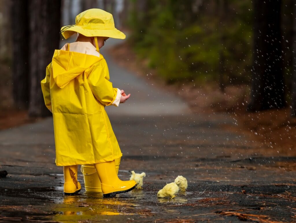 Picture of a child playing in the rain with little yellow chicks.