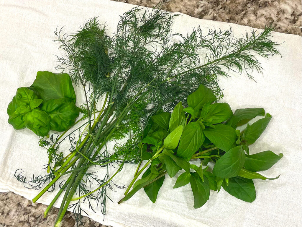 Photo of harvested herbs grown indoors